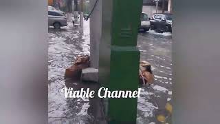 Dahil sa ulan at baha wala ng masakyan