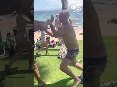 [News] Dem Skater Chose Fists Over His Skateboard to Fight, Then Got Knocked Out Cold