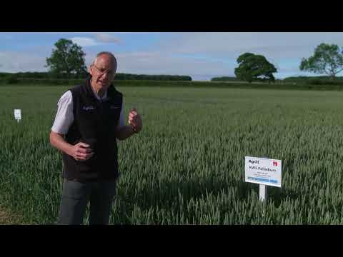 Group 2 WW KWS Palladium Bishop Burton 2022