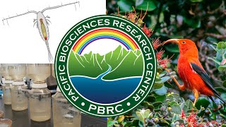 Pacific Biosciences Research Center- S11 E3 (trailer)