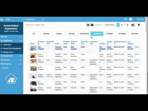 Automation Within The Petstablished Software