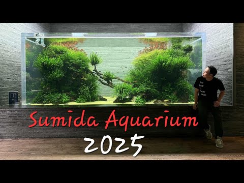 Film Najnowszy film z Sumida aquarium 2025