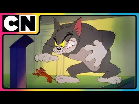 Tom and Jerry😺🐭| Try Not to Laugh Challenge with T & J! 😆| Animated Cartoon | @cnindia