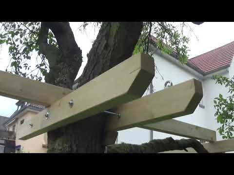 Ein Baumhaus bauen - Teil 1: Die Plattform