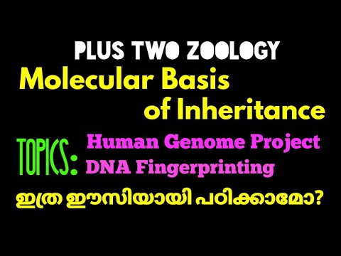 +2 Zoology molecular basis | Part9 | Human genome project | DNA fingerprint | science master | HGP