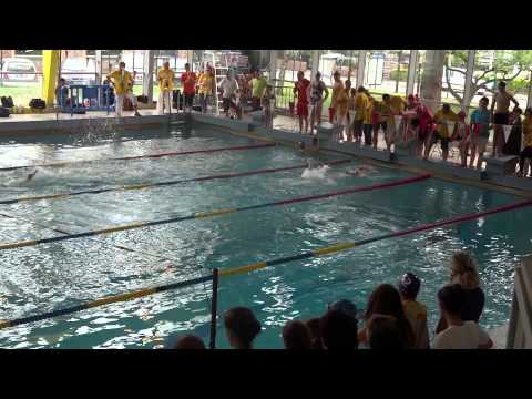 Relais ASA Natation Régions 2013 Gradins
