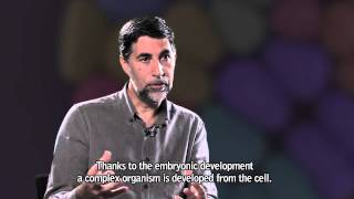 IAMUS MELOMICS documentary voiceover video