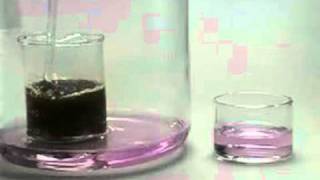 C12H22O11 + H2SO4 đặc
