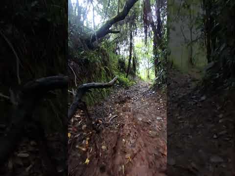 Caminos del Norte Antioqueño, San Pedro de los Milagros #colombia #travel #nature #trip #antioquia