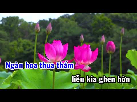 Thể hiện bởi Hoàng Thông