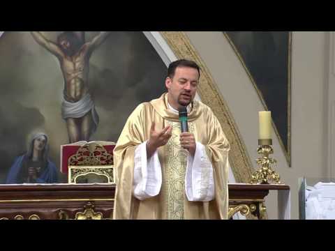 Santa Missa - 27/12/2016 - Homilia Frei Rinaldo Stecanella