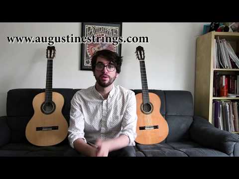 Augustine Prima - Student Guitar Review