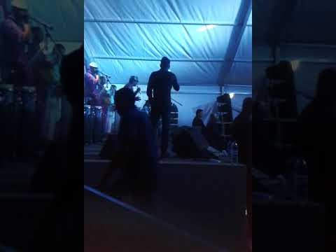 Latanier en direk live