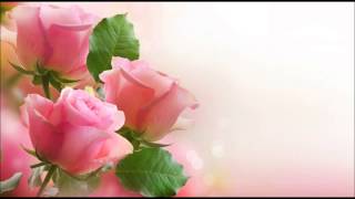 Bert Kaempfert  -  My Way Of Life