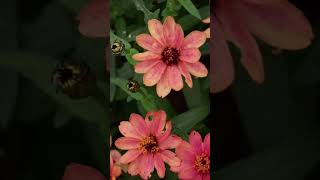 スマホがまとめてくれました