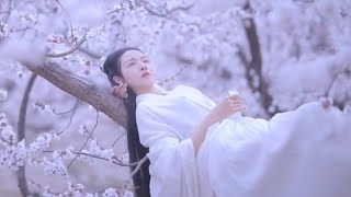 Download lagu [ TikTok QT ] Dragostea Din Tei Remix ( Dj QT Mix ) mp3