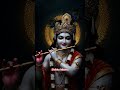 Radha Krishna Status Motivation Motivational Geetasarinhindi Geetgyan Love Krishnastatus Yt
