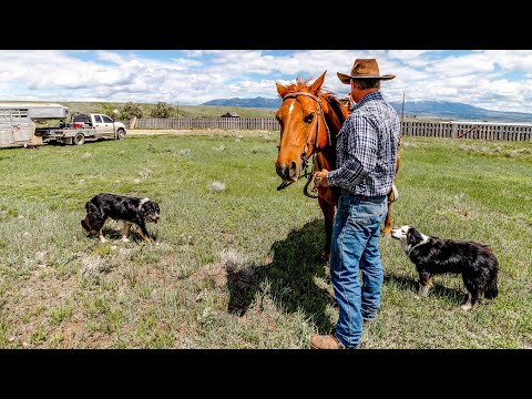 Inside a Real Montana Ranch - What's it REALLY Like??