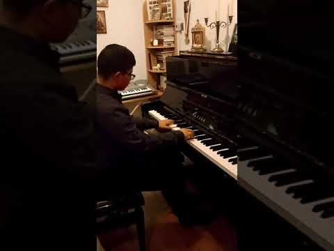 * Arhip Andrei-Dumitru * Pentru Concursul "MAGIA COLINDELOR" 2020 - București- 20 decembrie 2020.