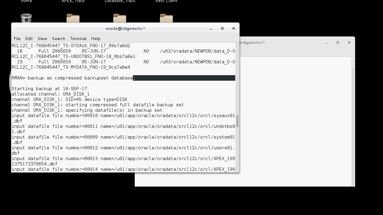Backup a PDB (Pluggable Database in 12c)