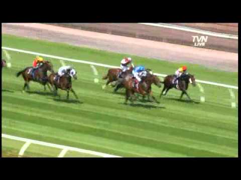 Mick Price on Guineas hopes Proliferate and Instinction