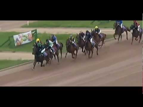 Niacomo 1:16,2_Ronja Walter_Stars in Concert Trophy