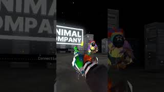 Bro walked in front of my loading screen #vr #vrplayer