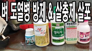 벼 도열병! 노린재 벼멸구 도열병까지 한번에 잡는 방법!