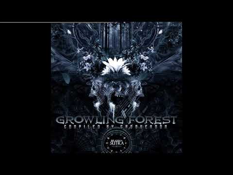 Eeriegeist vs Aday - Pronoia