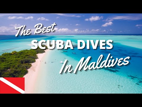 Top 10 Scuba Diving Sites in The Maldives