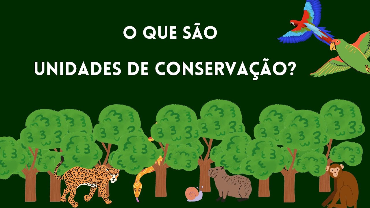 O Que São Unidades de Conservação - UCEP