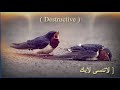 افضل نغمات رنين موبايل حماسية جديدة 📲 اجمل رنات هاتف 2020 نغمات عربية حزينة نغمات هندية حزينة اروع mp3 افضل نغمات رنين موبايل حماسية جديدة 📲 اجمل رنات هاتف 2020 نغمات عربية حزينة نغمات هندية حزينة اروع mp3