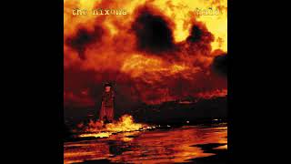 1994 - THE NIXONS - Drink the Fear