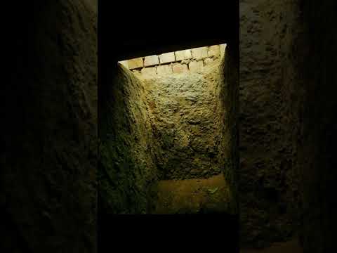 Saddam Hussein's Final Moments: A Shocking Execution