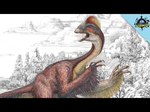 Aktuality ze světa vědy #6