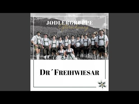 Dr' Freihwiesar