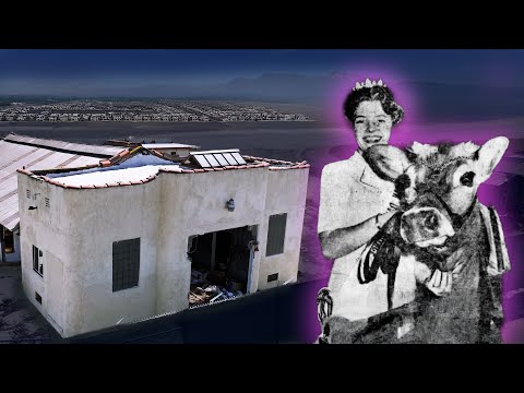 The Rise & Fall of Ontario's Dairy Farms