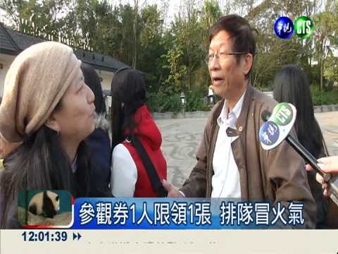 搶看圓仔全攻略 團體3天前預約