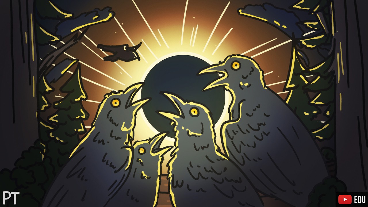 Coisas esquisitas que os animais fazem durante eclipses | Minuto da Terra