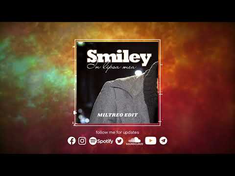 Smiley feat. Uzzi - In Lipsa Mea (Miltreo Edit)