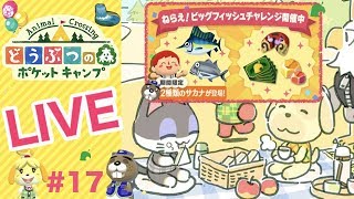 [ポケ森]ライブ#17 ねらえ!ビッグフィッシュチャレンジやります♪ 雑談しながらほのぼのスローライフ♪  どうぶつの森ポケットキャンプ