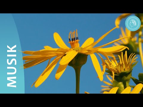 Frühlingserwachen – Orchestermusik und Naturfotos – von Bruno Gröning-Freunden