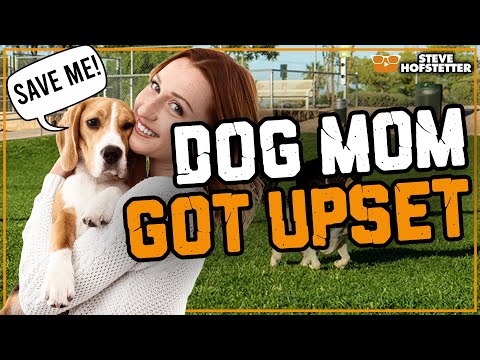 Dog mom heckler gets owned - Steve Hofstetter