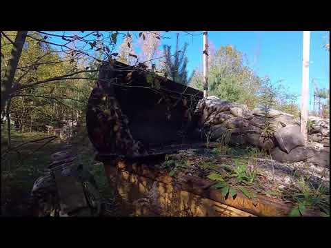 ASC Combines bei den Schattenkatzen Hannover e.V. 15.10.2017