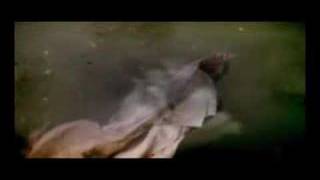 nocturnal emission - web clip