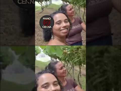 Conhecendo a videira de Mafra SC siga @Manocenna.historias #mafrasc #santacatariana #fyp