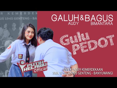 Gulu Pedot - Bagus Bimantara feat Galuh Audy (Official Live Music)