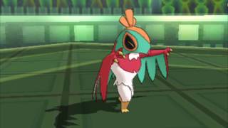 芸人ルチャブル【ポケモンSM】pokemon