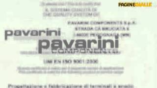 preview picture of video 'PAVARINI COMPONENTS spa PEGOGNAGA (MANTOVA)'