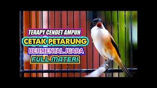 Download lagu PALING DICARI TERAPY CENDET AMPUH CETAK PETARUNG BERMENTAL JUARA, PANCINGAN CENDET GACOR ISIAN MEWAH mp3 Download lagu PALING DICARI TERAPY CENDET AMPUH CETAK PETARUNG BERMENTAL JUARA, PANCINGAN CENDET GACOR ISIAN MEWAH mp3